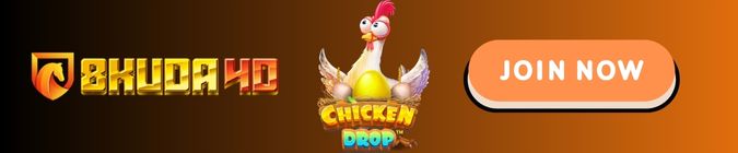 Daftar Akun Chicken Drop 8Kuda4D